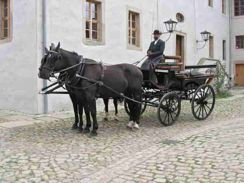 Kutsche mit zwei schwarzen Pferden und einem Kutscher in schwarzer Kleidung auf einem gepflasterten Hof vor einem weißen Gebäude.