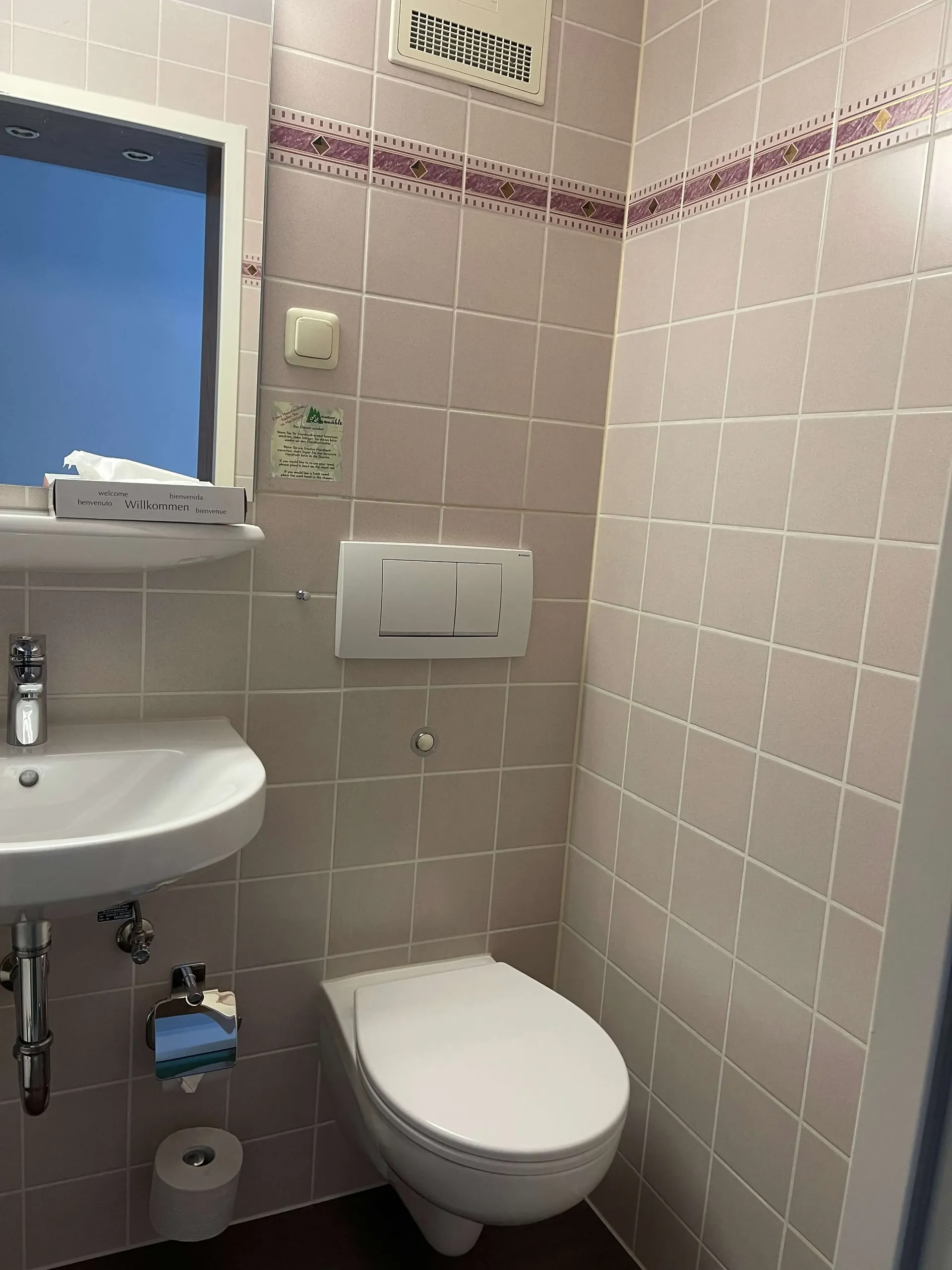 Kleines Badezimmer mit weißer Toilette, Waschbecken, Spiegel und rosa Wandfliesen mit dekorativem Bordürensaum.